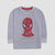 Boys  Spiderman Graphic Sweatshirt